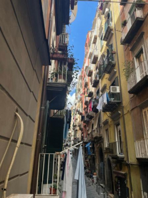 B&b Napoli Plebiscito